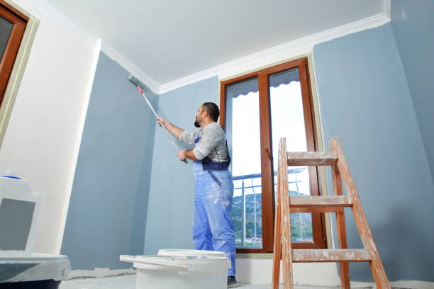 Best Black Mold Removal  in Hamilton Square, NJ