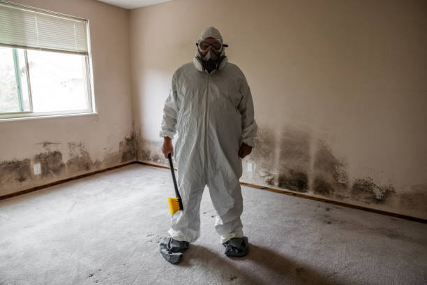 Best Black Mold Removal  in Hamilton Square, NJ